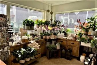 40102 - Blomster– & Designbutik i Norrort