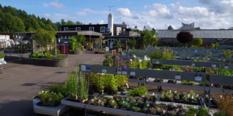 Skinnarnas Blommor och Trädgård AB i Ljungby