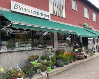 Blomsterbärget (BO-9036)