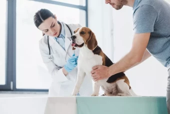 Försäljning av Lönsam Veterinärklinik i Stockholms Län